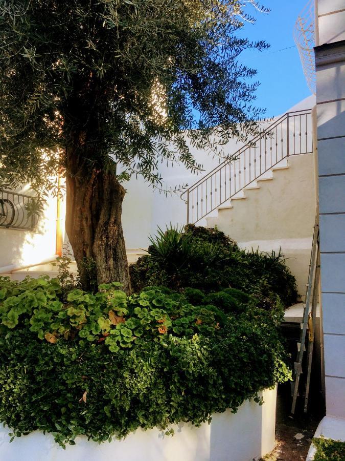B&B Casa Maria Vittoria Torre del Greco Exteriér fotografie